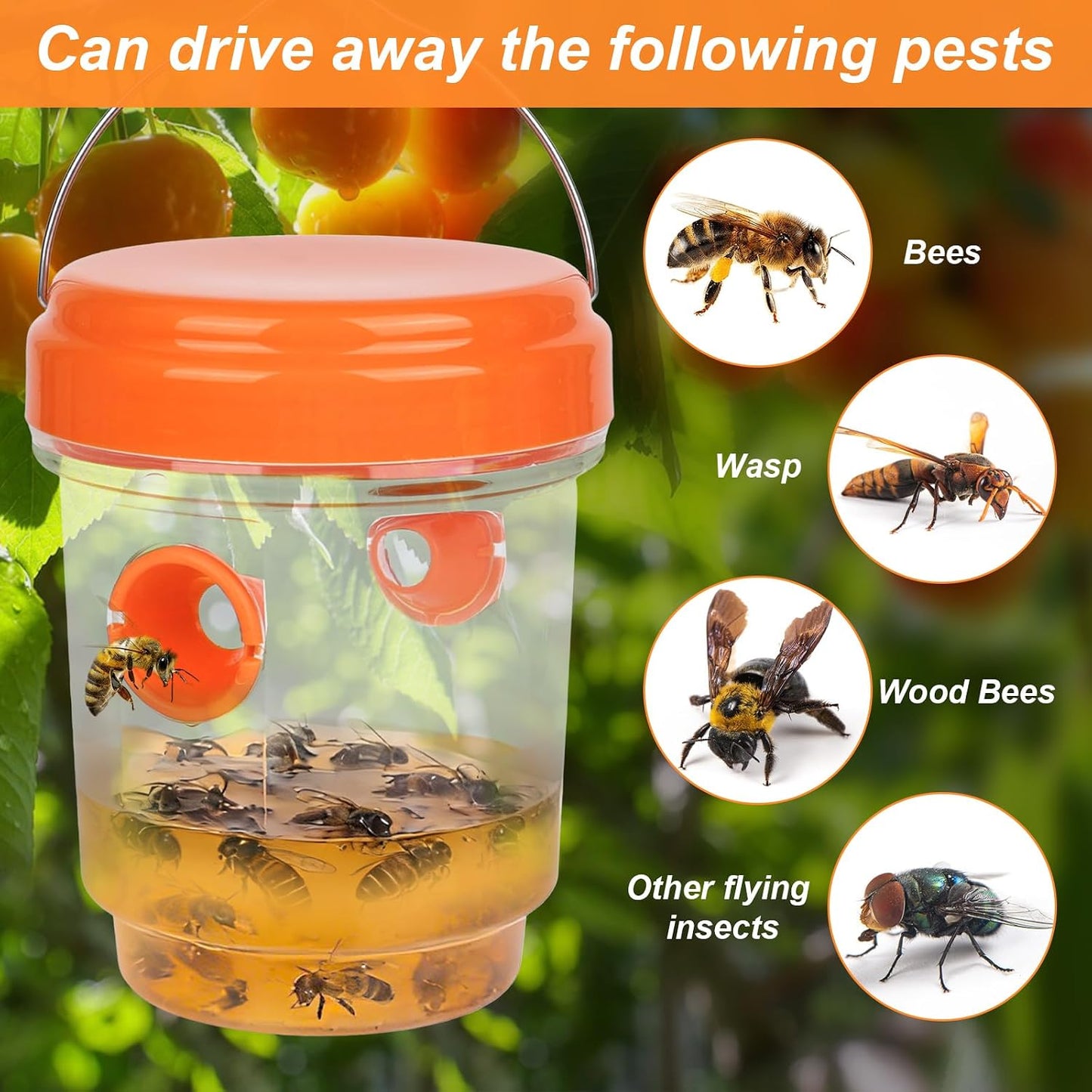 3-Pack Reusable Wasp Traps – Hanging Outdoor Insect Traps for Gardens, Patios & Balconies